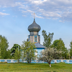 Храм в честь cвятой великомученицы Параскевы Пятницы д. Вербовичи
