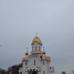 Храм священномученика Алексия Лельчицкого д. Сырод